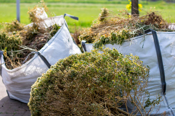 Best Dumpster Rental Services  in Bellerose Terrace, NY